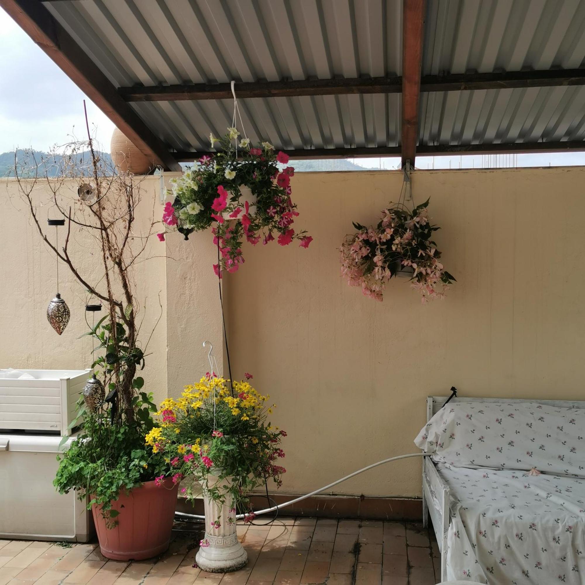 Albisola Bed And Breakfast Albisola Superiore Bagian luar foto