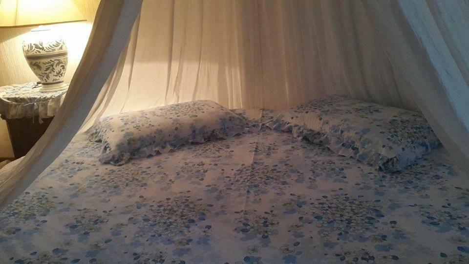 Albisola Bed And Breakfast Albisola Superiore Bagian luar foto